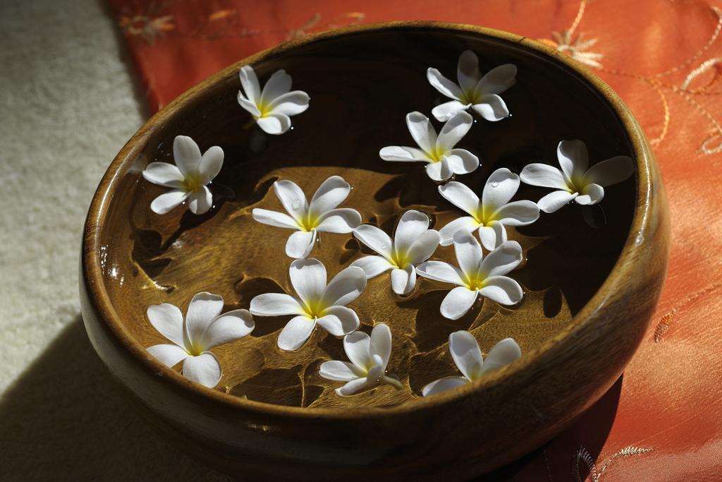 ホテル ラマダ バイ ウィンダム ジュメイラ ドバイ エクステリア 写真 Plumeria rubra flowers
